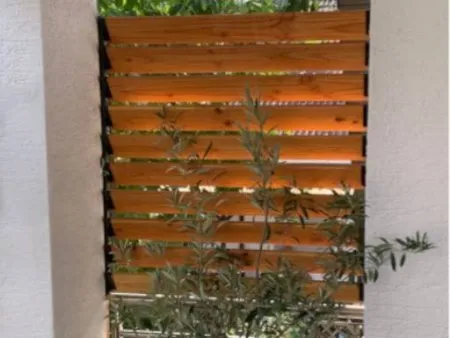 Neuer Schattenplatz für Thomas